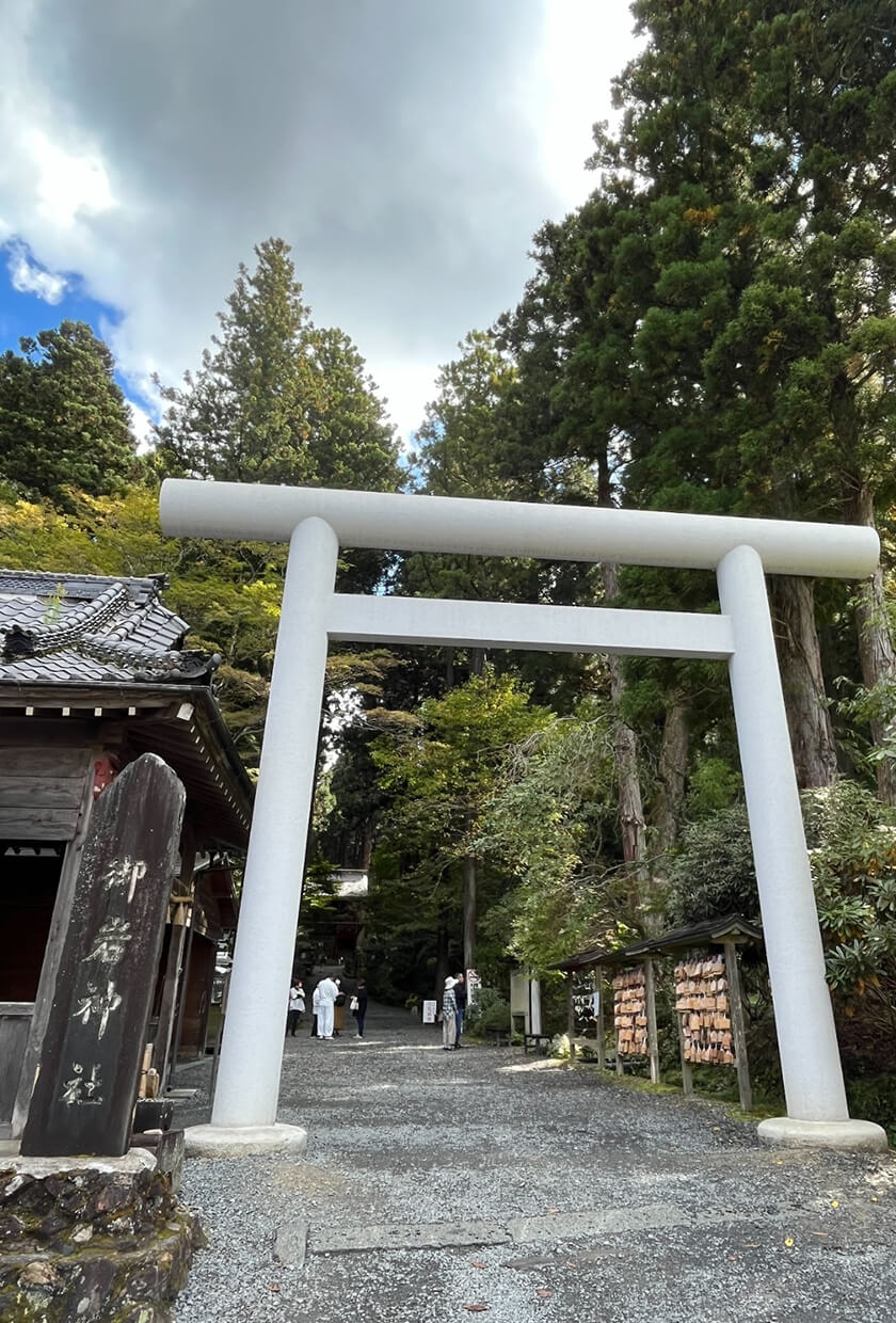 Oiwa Shrine Image