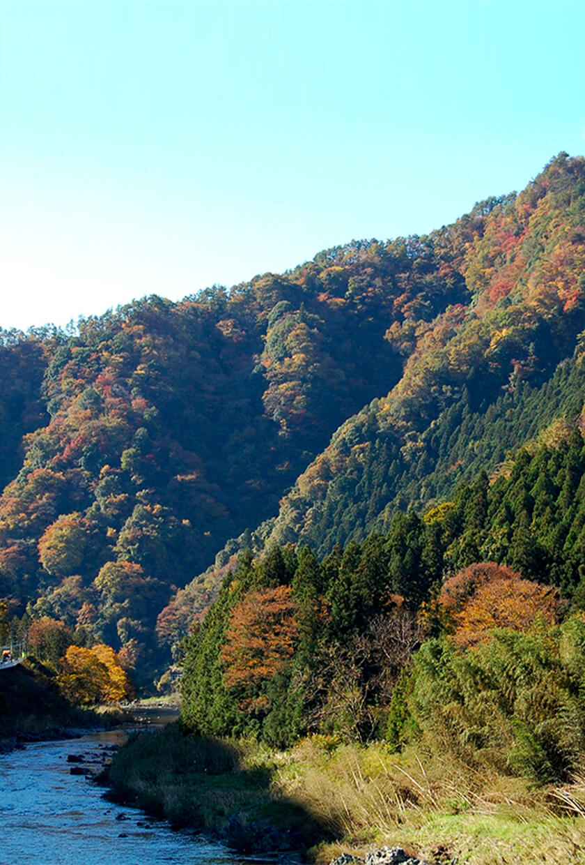 A Drive Through Okukuji Valley Image