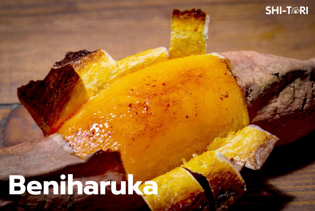 มันหวานญี่ปุ่น เบนิฮารุกะ จากอิบารากิ Beniharuka Japanese Sweet Potato