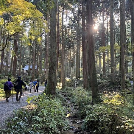 ibaraki oiwa shrine2