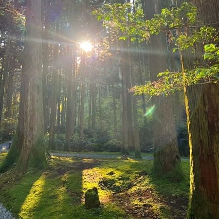 ibaraki oiwa shrine3