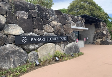 Flower Park