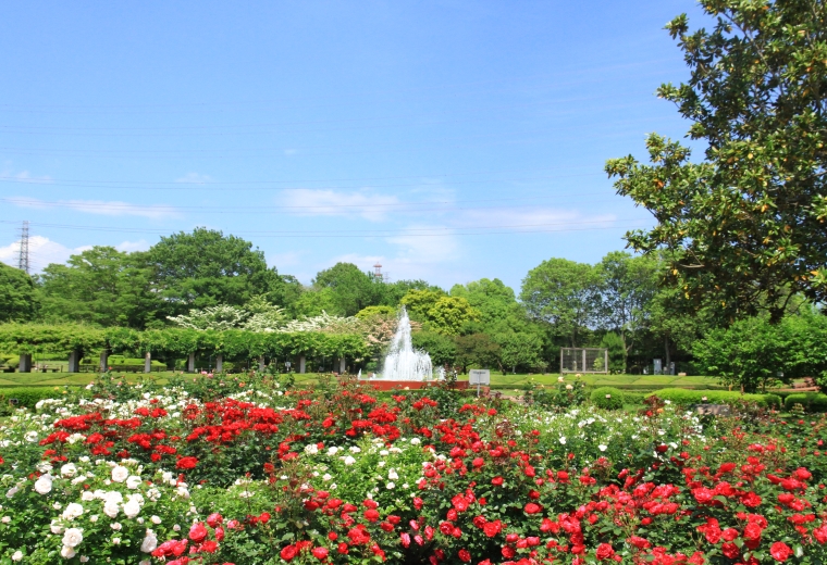 Công viên thực vật Ibaraki