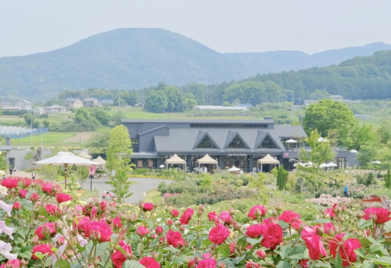 Ibaraki Flower Park