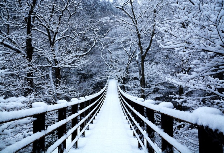 Hananuki Gorge | Visit | IBARAKI GUIDE