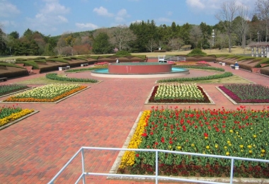 Công viên thực vật Ibaraki