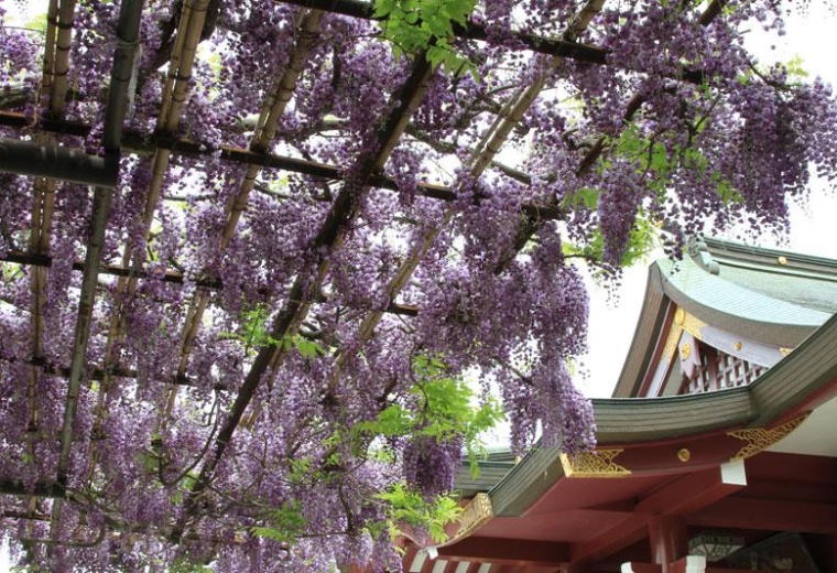 Kasama Inari Shrine | Visit | IBARAKI GUIDE