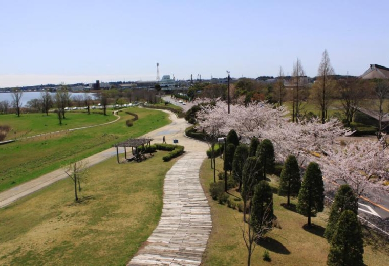สวนคาซึมิกาอุระ (Kasumigaura Park)