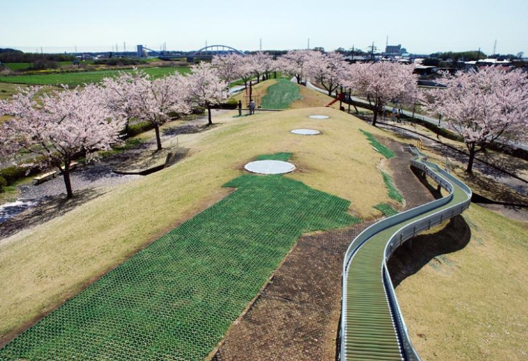 สวนโคไคกาวะฟุเรไอกับทุ่งดอกป๊อปปี้ (Kokaigawa Fureai Park & Poppy Fields)