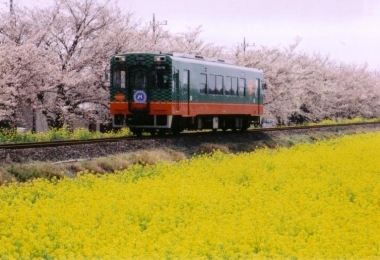 모오카철도 모오카선
