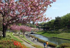 สวนชิซุมิเนะ ฟุรุซาโตะ (Shizumine Furusato Park)