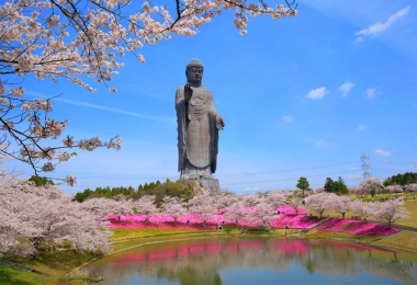 牛久大佛