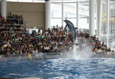 Aquaworld Ibaraki Prefectural Aquarium
