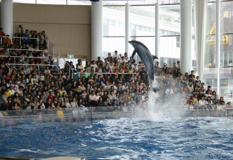 Aquaworld Ibaraki Prefectural Oarai Aquarium