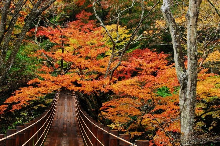 Amazing Views! 9 Picturesque Destinations in Ibaraki
