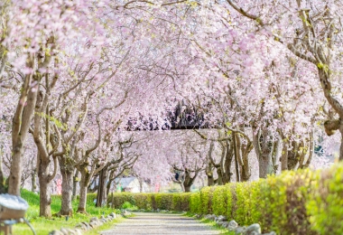 Hitachi-Fudoki Hill