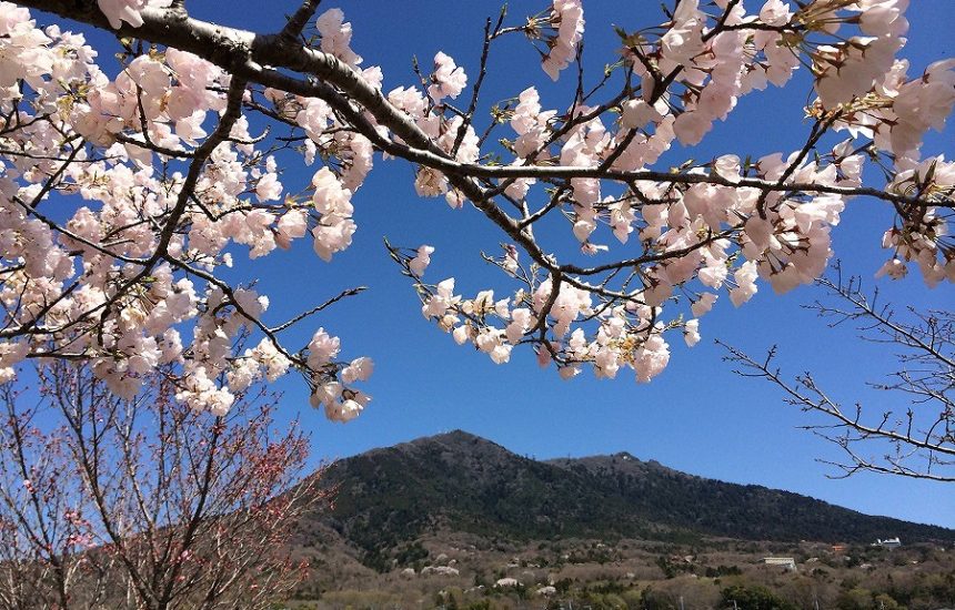 From Cycling to Paragliding! Top 5 Outdoor Activities in Ibaraki