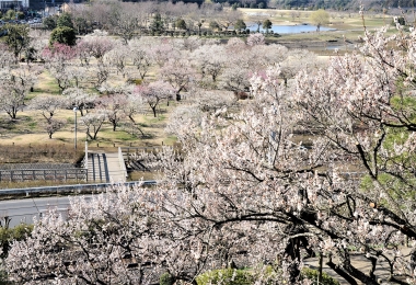 Kairakuen Garden