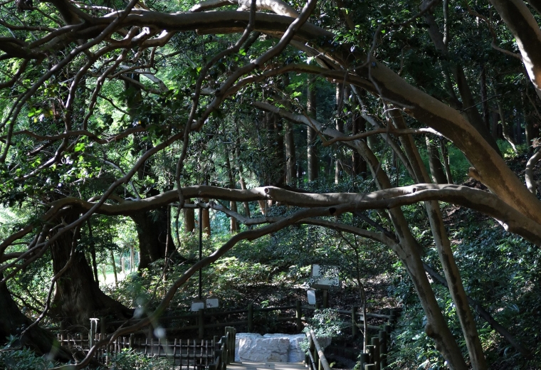 Kairakuen Garden