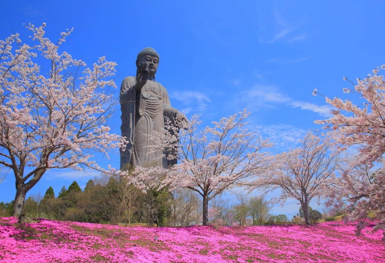 Ushiku Daibutsu Buddha Statue