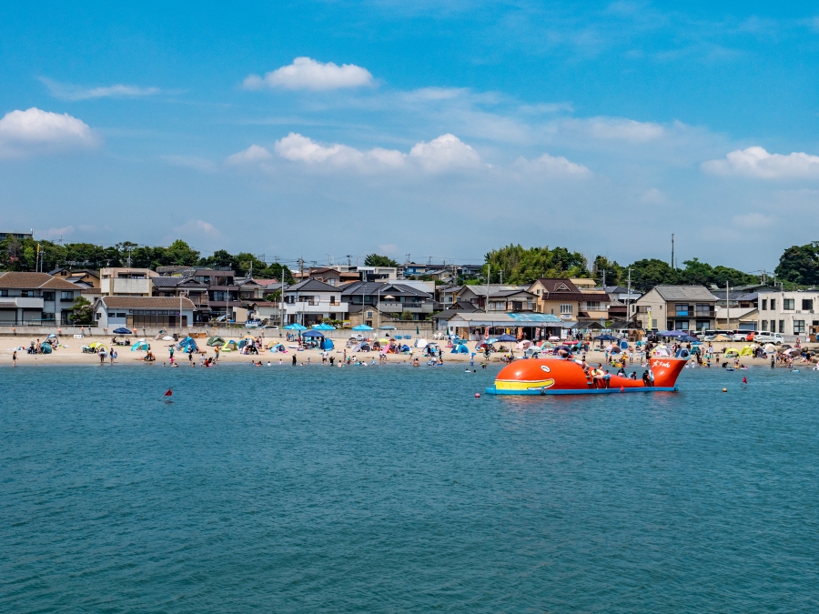 Hidden Gems Near Tokyo! 5 Ibaraki Beaches Recommended by Locals