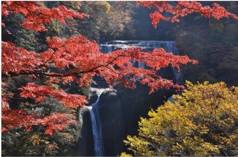 Chúng tôi xin giới thiệu 9 địa điểm ngắm lá mùa thu và ẩm thực mùa thu ở tỉnh Ibaraki