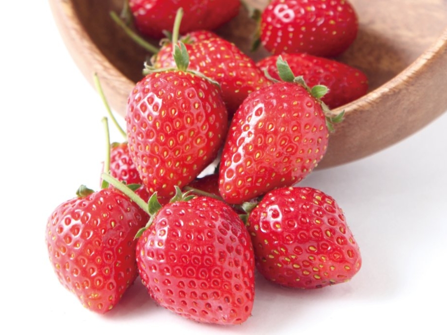 草莓、网纹瓜！在城县5家可以体验采摘水果（8种）的农园！