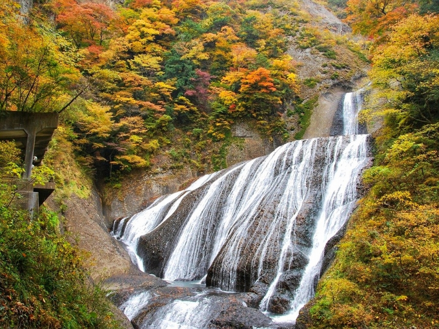 Fukuroda Falls, Hot Springs, and More! Nature Travel in Daigo, Northern Ibaraki