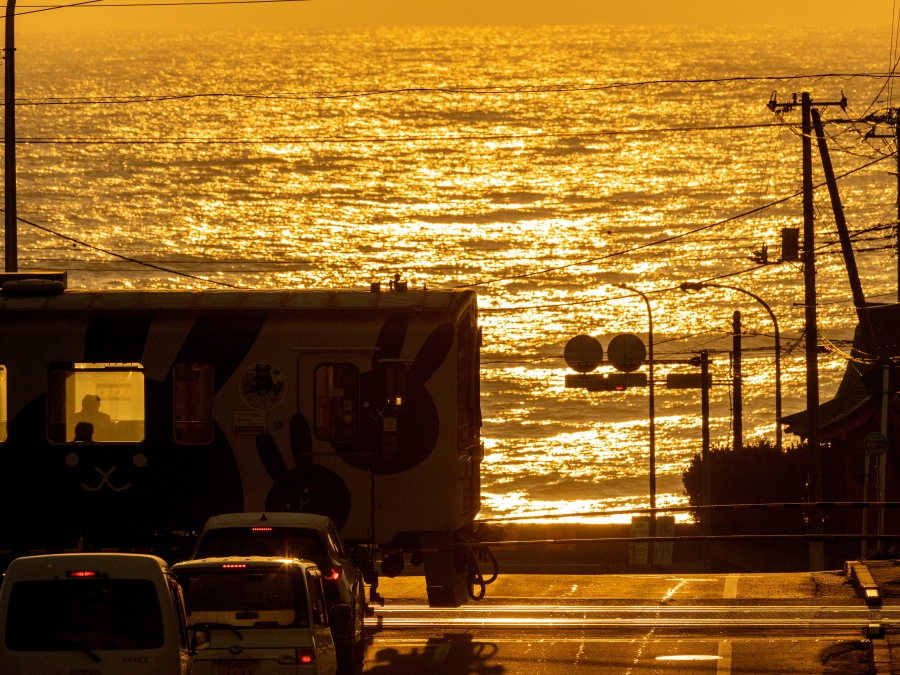 Explore Ibaraki by Local Trains! 3 Charming Railway Lines