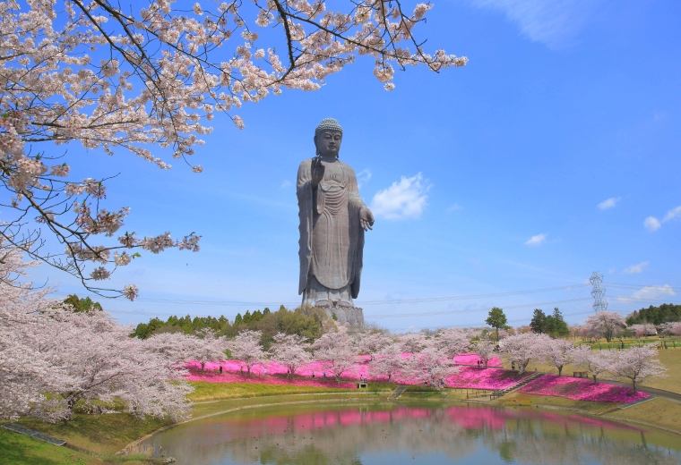 Ushiku Daibutsu: The Tallest Bronze Buddha Statue in the World! Sightseeing and Food Guide
