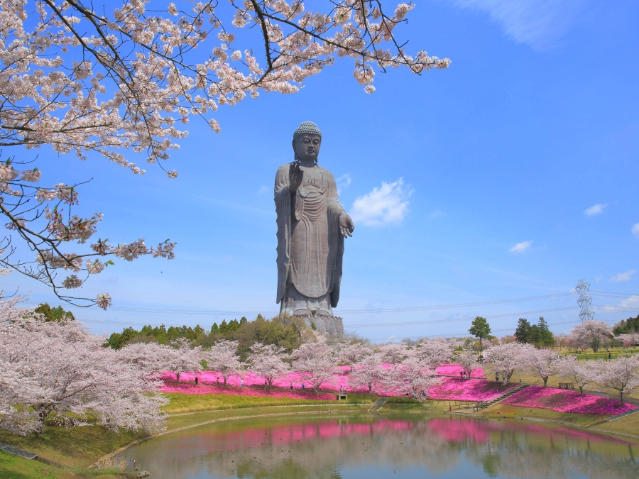 Ushiku Daibutsu: The Tallest Bronze Buddha Statue in the World! Sightseeing and Food Guide