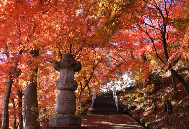 วัดเออิเก็นจิ (Eigenji Temple) รู้จักกันในชื่อวัดโมมิจิ