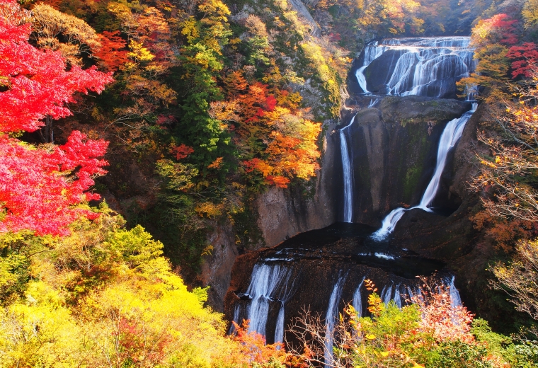 Spend a Night in Daigo, Ibaraki! A Trip to Explore Autumn Flavors and Scenic Views