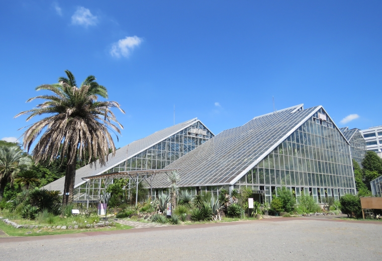 สวนพฤกษศาสตร์ทสึคุบะ (Tsukuba Botanical Garden)