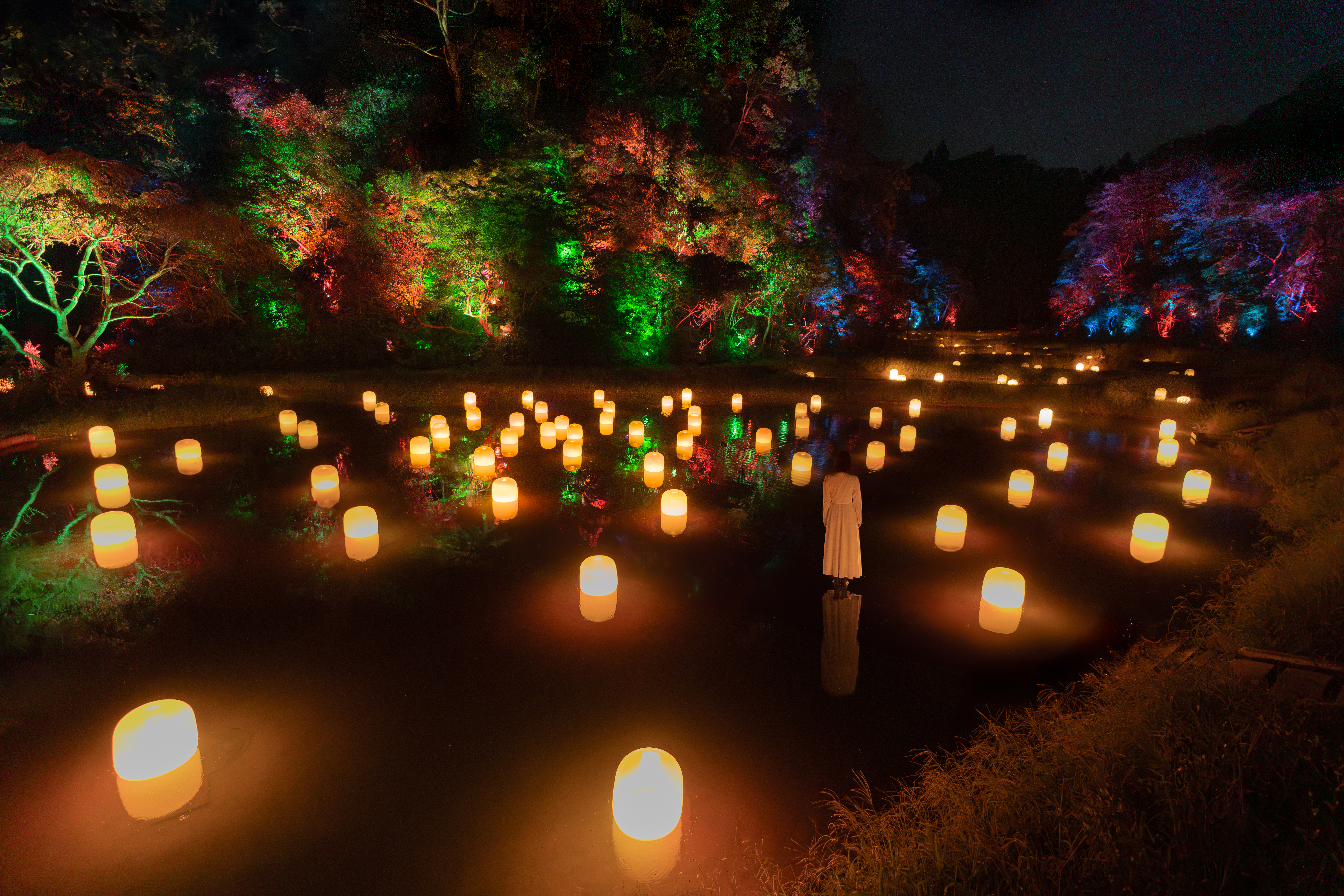 teamLab: Hidden Traces of Rice Terraces