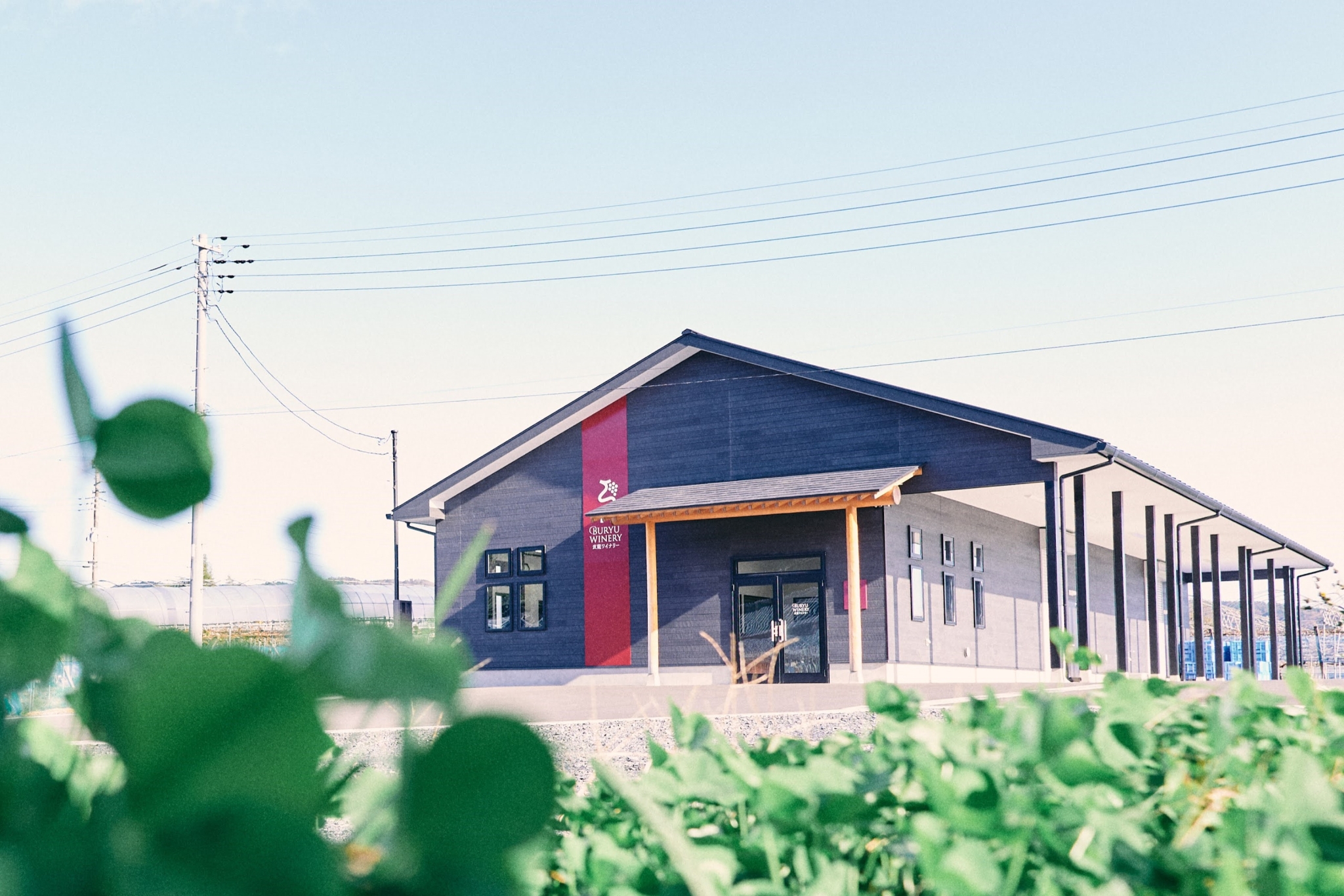 Xưởng rượu Buryu Winery