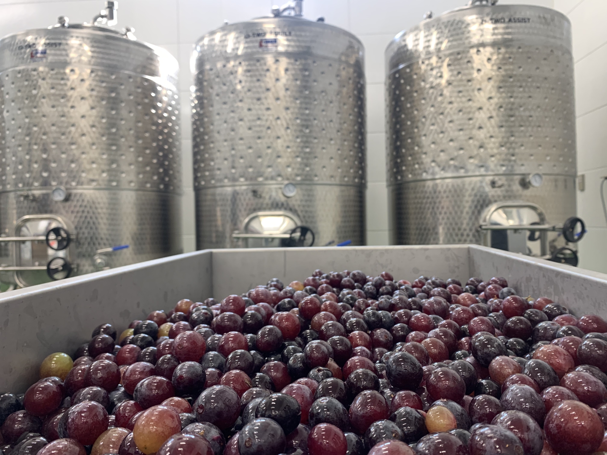 Xưởng rượu Buryu Winery