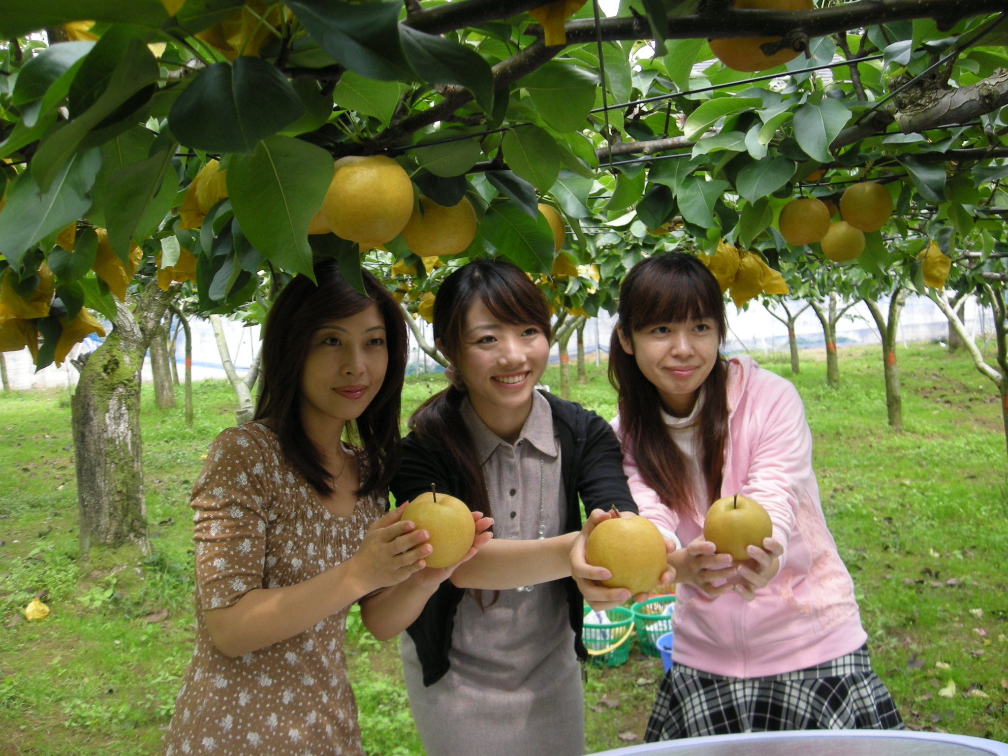 Trang Trại Fukuda Green