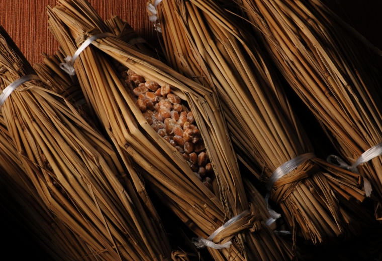 다루마 식품 (だるま食品)