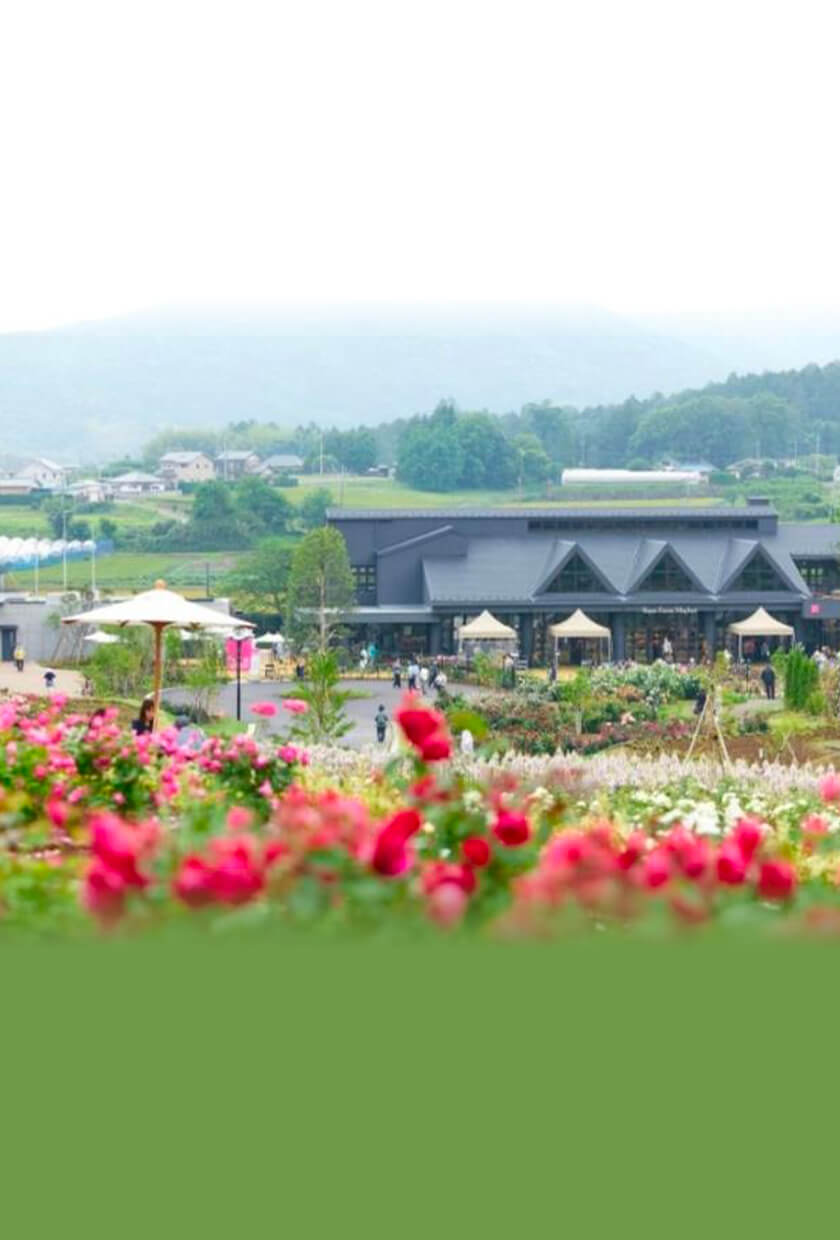 Ibaraki Flower Park Image